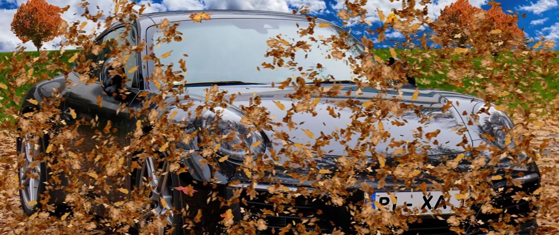 Veilig autorijden in de herfst. Hier geven wij enkele tips