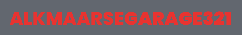 Alkmaarsegarage321 B.V. logo